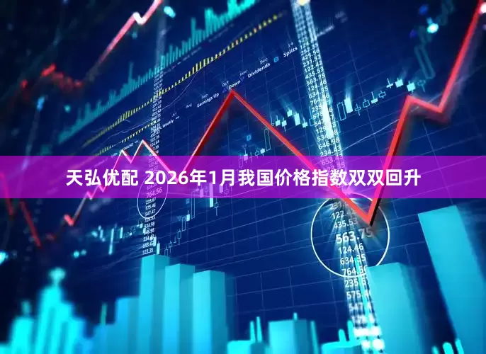 天弘优配 2026年1月我国价格指数双双回升
